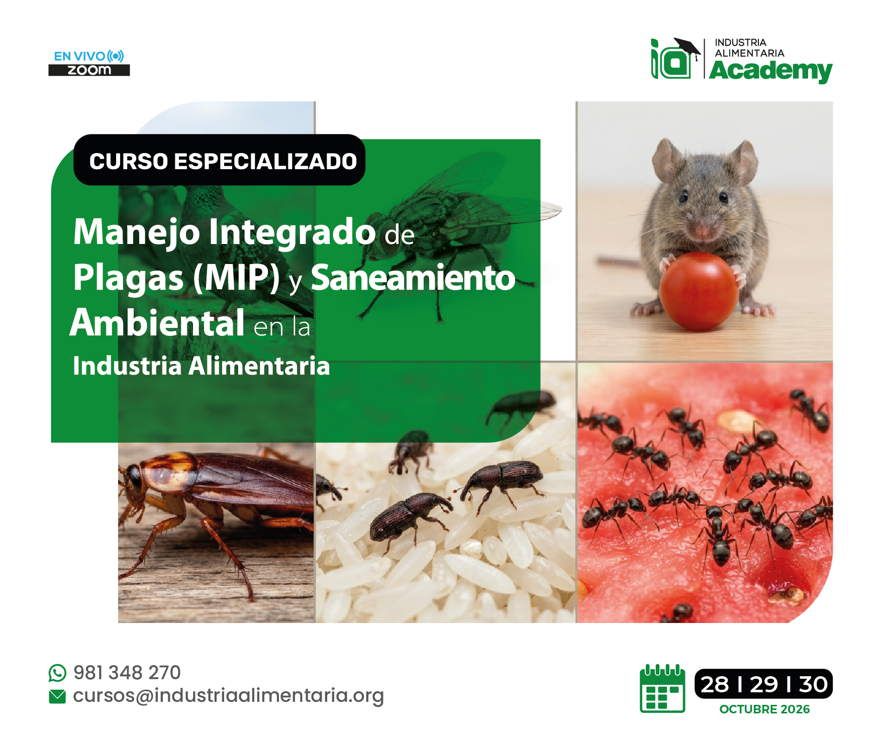 CURSO ESPECIALIZADO MANEJO INTEGRADO DE PLAGAS Y SANEAMIENTO AMBIENTAL EN LA INDUSTRIA ALIMENTARIA